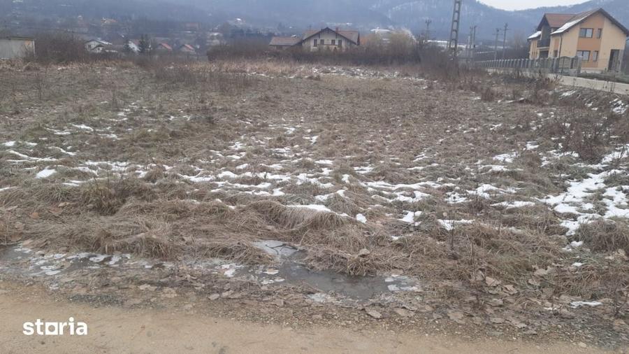 Teren de 2700 mp, în Cicârlău