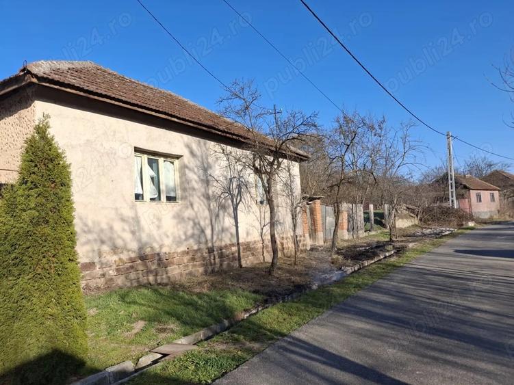 Casă cu 3 camere cu Teren 1400 Mp în Vintere