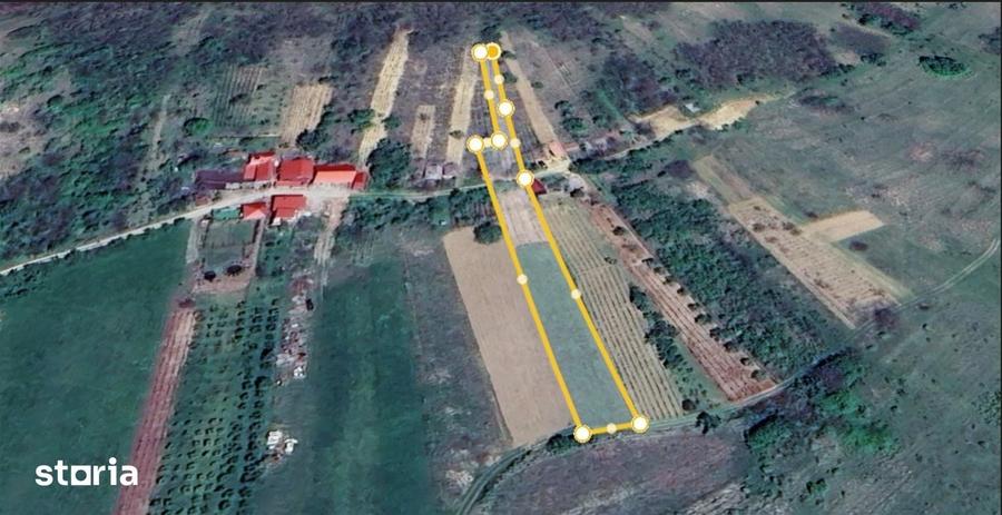Teren de 2000 mp, în Tileagd