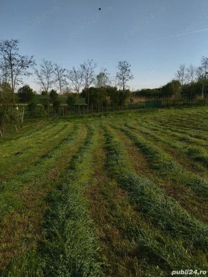 Teren de 2500 mp, în Mihăilești