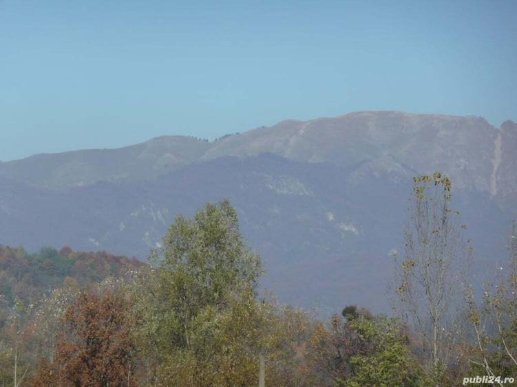 Teren de 600 mp, în Govora