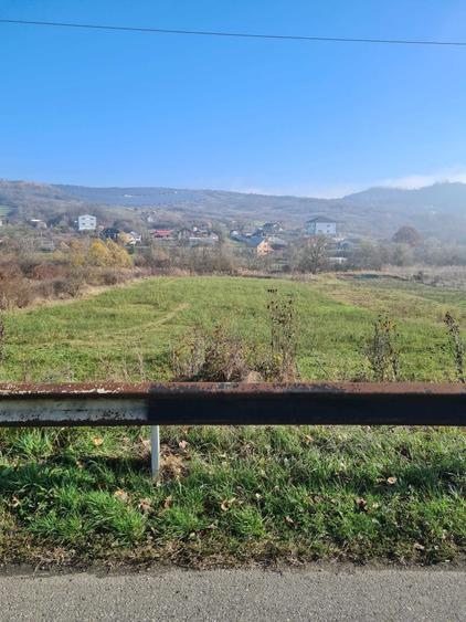 Teren de 4000 mp, în Buleta