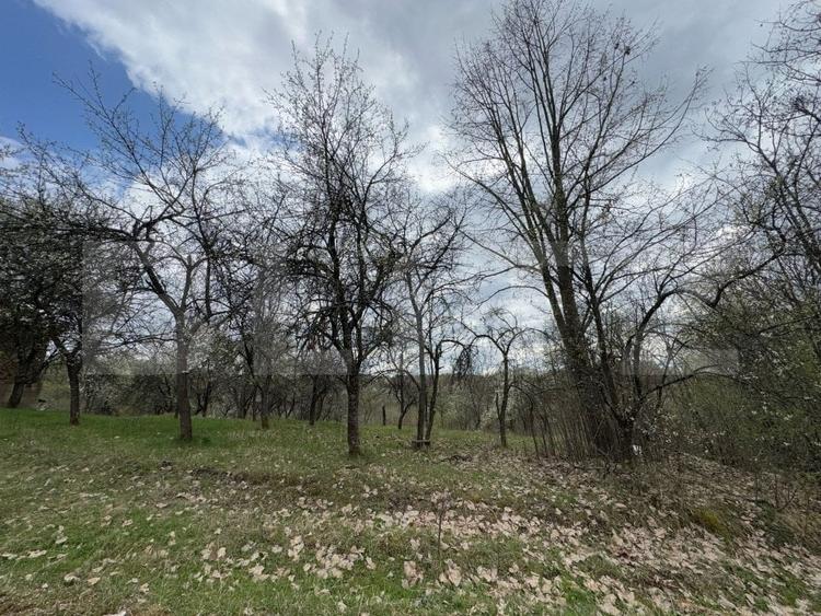 Casă individuală cu 2 camere cu Teren 10000 Mp în Hunedoara