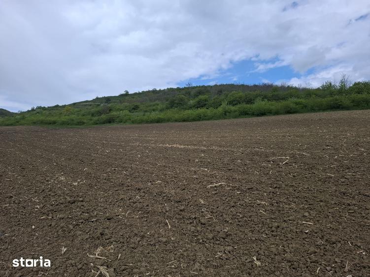Teren extravilan arabil, utilitati aproape - Sibiu - Gusterland - 1