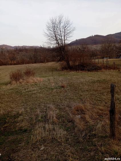 Teren de 1500 mp, în Pângărați