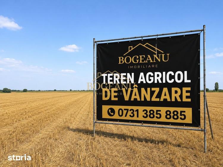 Teren de 60000 mp, în Cornești
