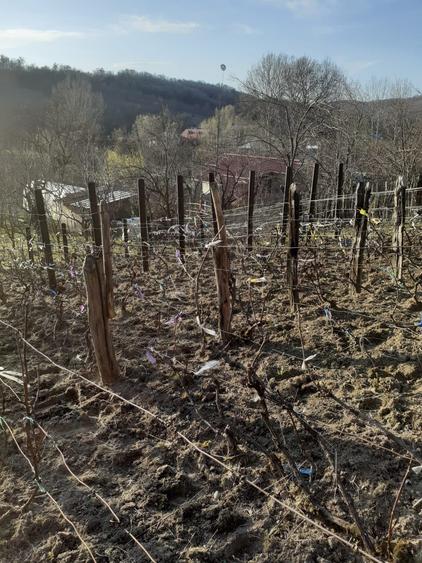 Casa si teren Buhea de Jos, Prahova - 4