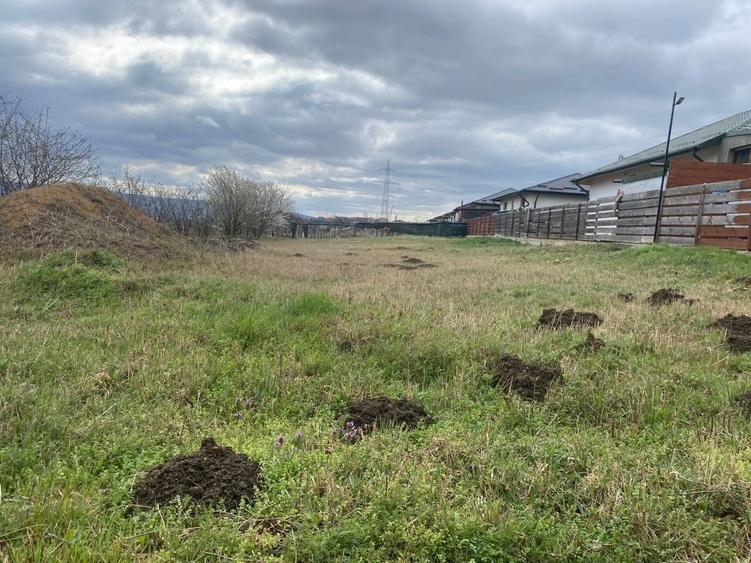 Teren Construcții intravilan de 450 mp, în Miroslava