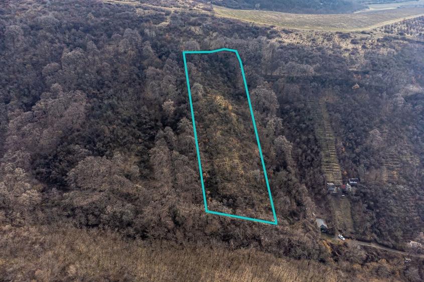Teren Construcții extravilan de 5000 mp, în Ghioroc