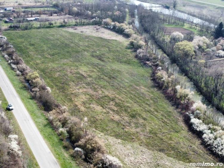 Teren de 22500 mp, în Balinț