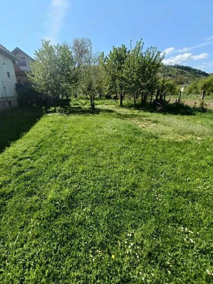 Teren de 994 mp, în Luna