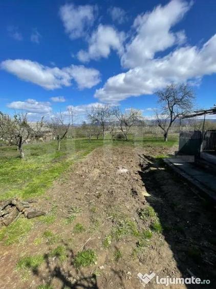 Casa cu 3 camere, 90 mp, 2 anexe gospodaresti si teren de 30 - 7