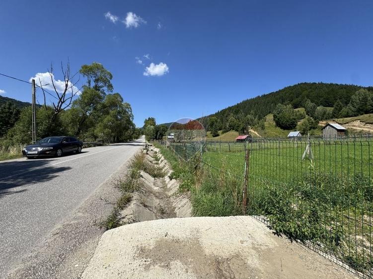 Teren Construcții intravilan de 7670 mp, în Borca