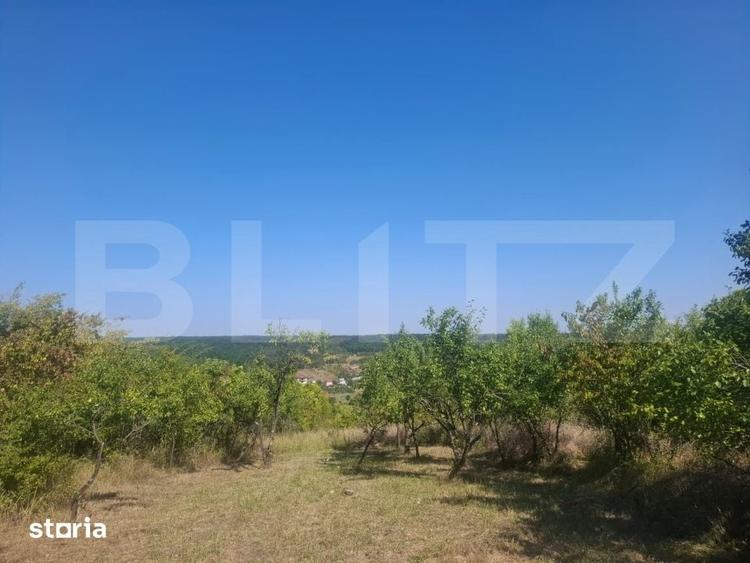 Teren de 2493 mp, în Cobia