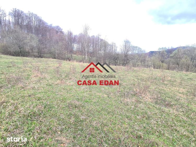 Teren de 20500 mp, în Valea Doftanei