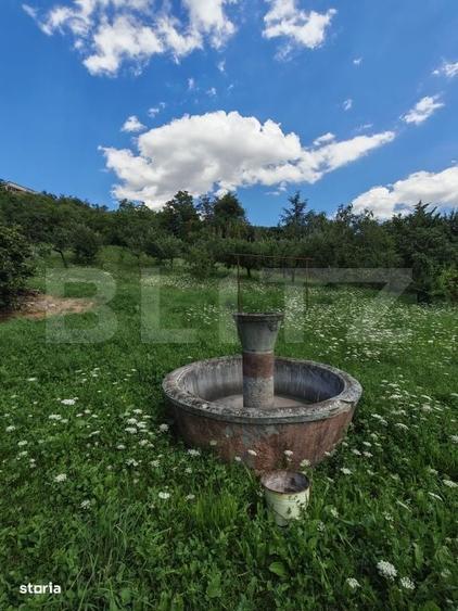 Exclusivitate!!! Casa 175 mp, teren 6200 mp, zona centrala Turda - 5
