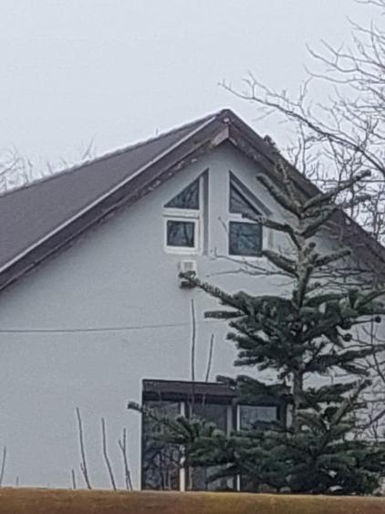 Casă individuală cu 5 camere cu Teren 1360 Mp în Dascălu