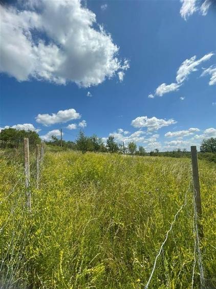 Teren Construcții intravilan de 1675 mp, în Podgoria