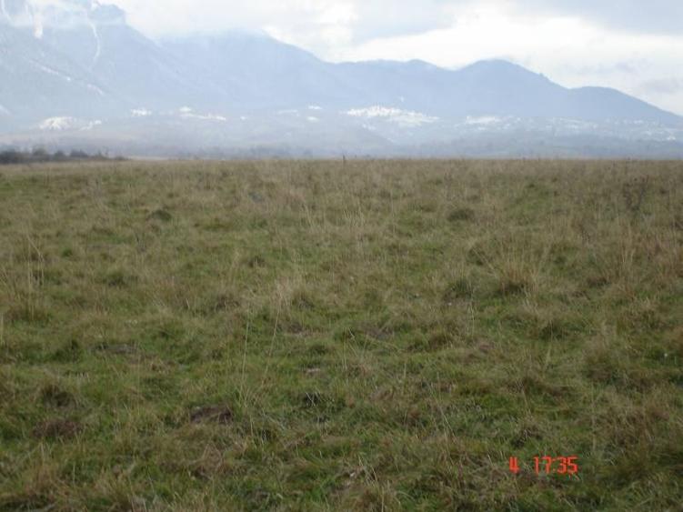 Teren extravilan de 20000 mp, în Râșnov