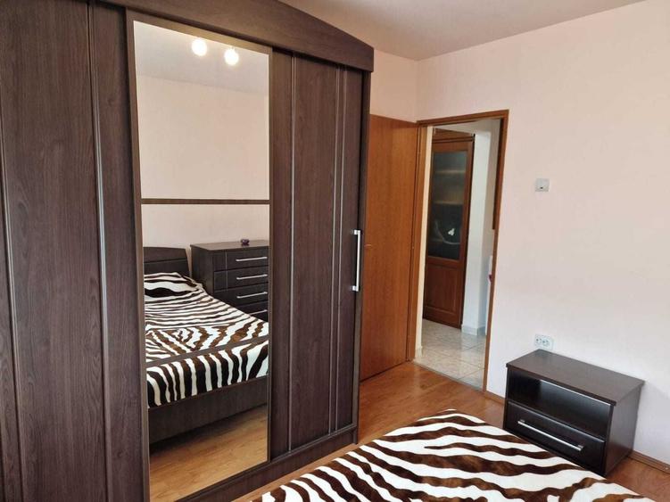 Apartament cu 2 camere decomandat, mobilat în Viziru 1