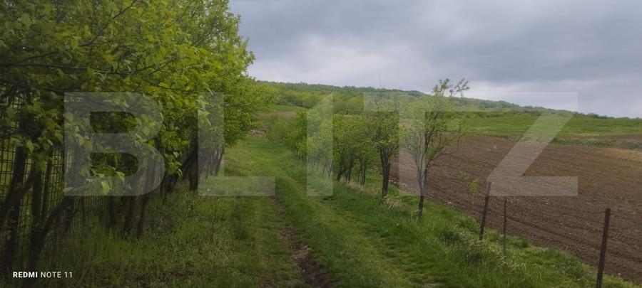 Teren Construcții de 2000 mp, în Tomești