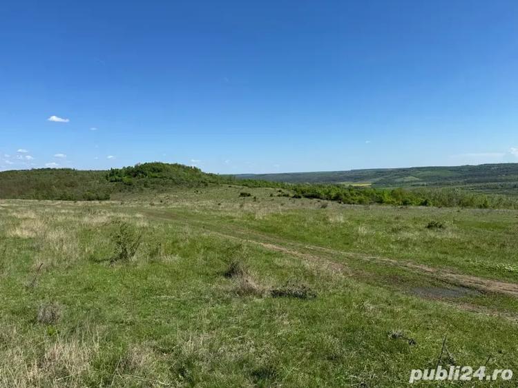Teren de 480000 mp, în Prunișor