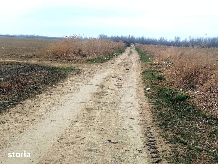 Teren de 15000 mp, în Gura Ocniței