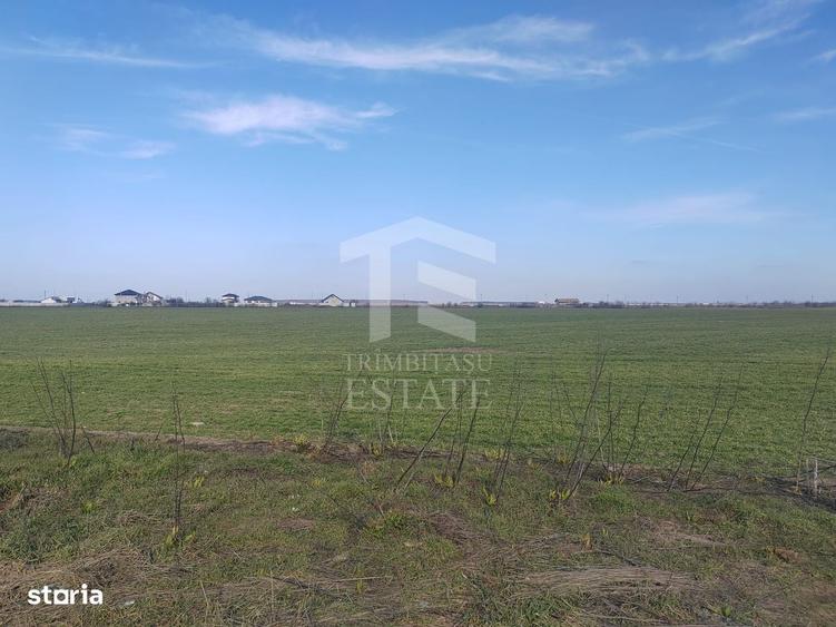 Cernica Tanganu Parcele 1023 mp la 17.000 euro - 3