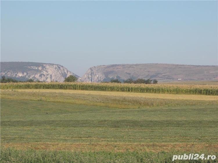 Teren de 1000 mp, în Central