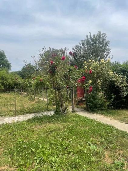 Vand casa si teren , str.Bojinca nr.30 , zona semicentrala , linistita - 8