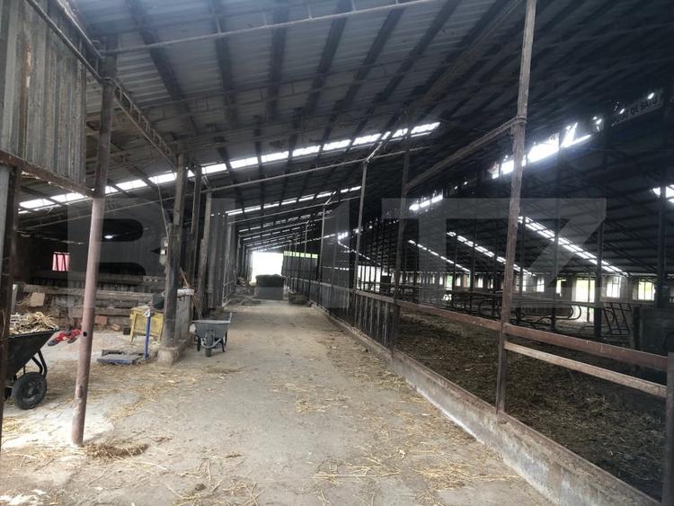 Teren agricol extravilan de 15000 mp, în Mărtinești