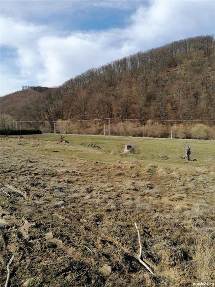 Teren de 3800 mp, în Crizbav