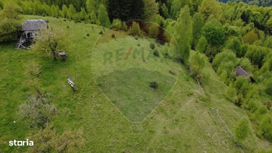 Teren 38,704mp Sirnea | 2.000 mp Intravilan | 36,704 Extravilan - 8
