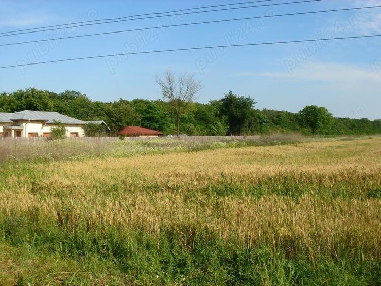 Teren în Ciolpani