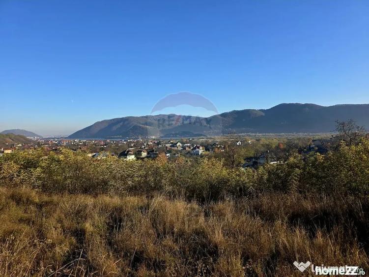 Teren 6,874mp Alexandru cel Bun / Strada plopusor - 9