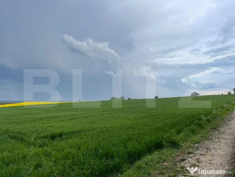 Teren intravilan, 1000 mp, Frumoasa - Suceava (Suceava) - 1
