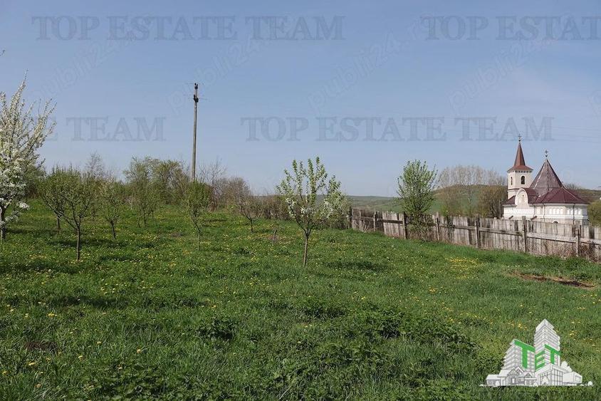 Teren Construcții intravilan de 3481 mp, în Loamneș