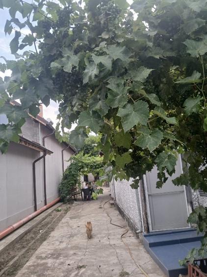 Casă de vînzare  - 10
