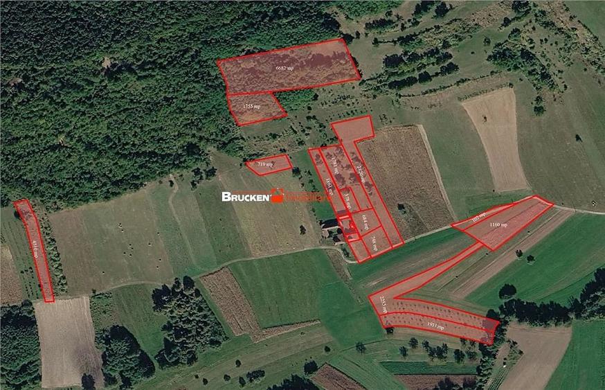 Teren de 60000 mp, în Beiușele