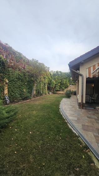 Casă individuală cu 6 camere cu Canalizare în Clucerului