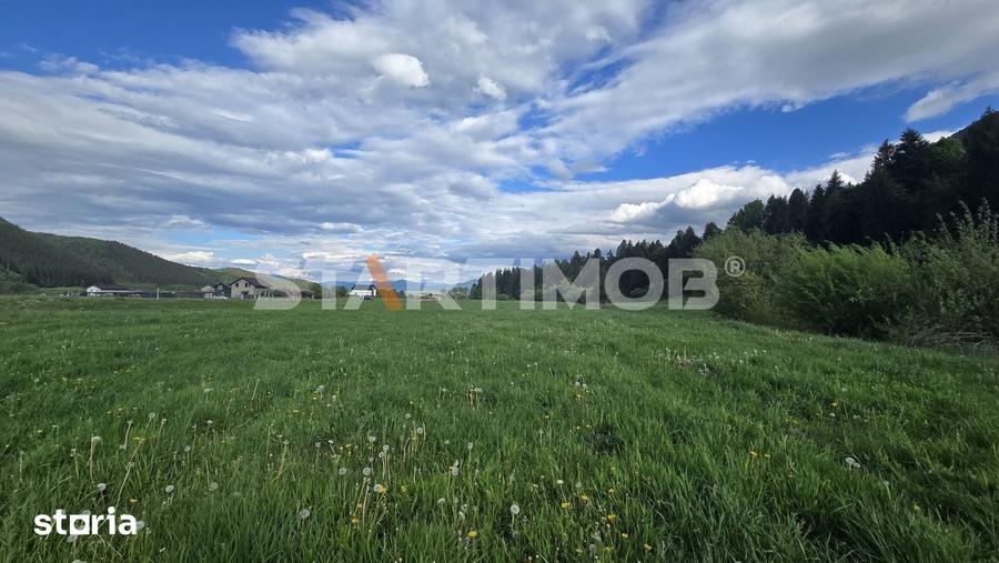 Teren de 7600 mp, în Plaiul Foii