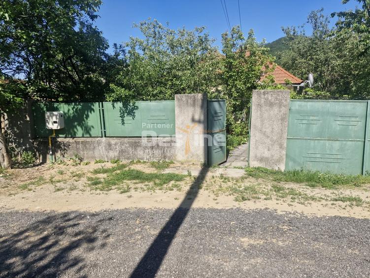 Casă individuală cu 3 camere cu Canalizare în Pianu de Sus
