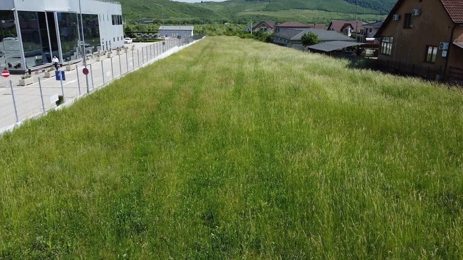 Teren de 13000 mp, în Viișoara
