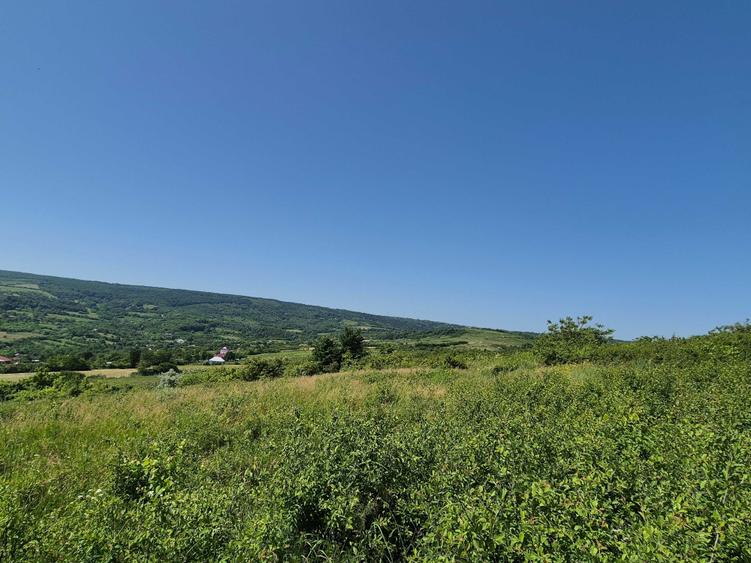 Teren de 3000 mp, în Tomești