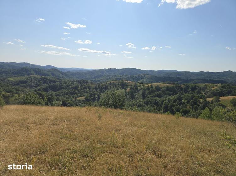 Teren de 150000 mp, în Cerbăl