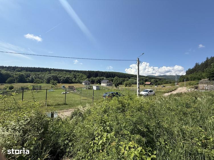 Teren de 1500 mp, în Sava