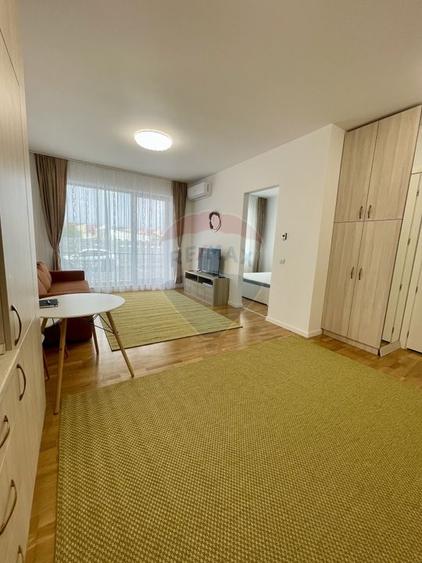 Apartament cu 2 camere, mobilat în Domenii