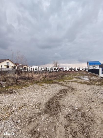 Teren de 7000 mp, în Bradu