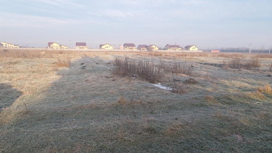 Teren Construcții intravilan de 60000 mp, în Exterior Est