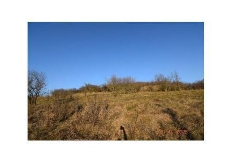 Teren de 8700 mp, în Adămuș